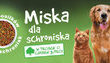 Pełna miska dla schroniska
